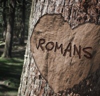 romans cees stam schrijfsels